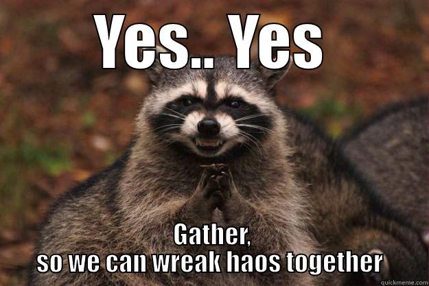 YES.. YES GATHER, SO WE CAN WREAK HAOS TOGETHER  Evil Plotting Raccoon