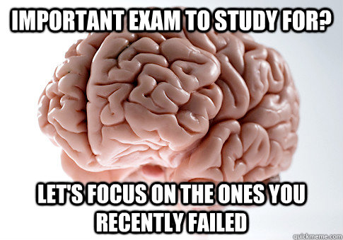 IMPORTANT EXAM TO STUDY FOR? LET'S FOCUS ON THE ONES YOU RECENTLY FAILED  Scumbag Brain