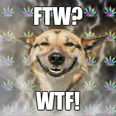 ftw? wtf! - ftw? wtf!  Stoner Dog