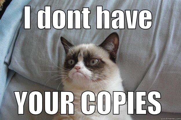 I DONT HAVE YOUR COPIES Grumpy Cat