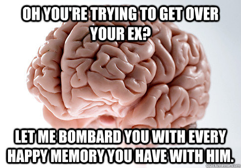 oh you're trying to get over your ex? let me bombard you with every happy memory you have with him.  Scumbag Brain