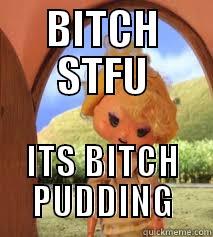 BITCH STFU ITS BITCH PUDDING Misc