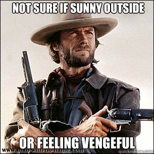 Not sure if sunny outside or feeling vengeful  