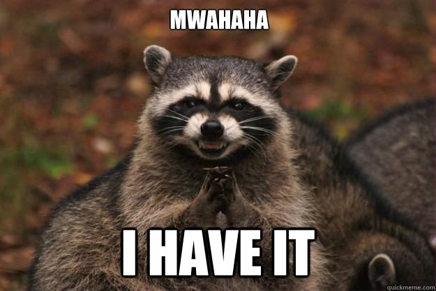 mwahaha i have it  Evil Plotting Raccoon