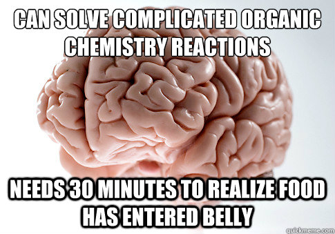 Can solve complicated organic chemistry reactions  needs 30 minutes to realize food has entered belly  Scumbag Brain