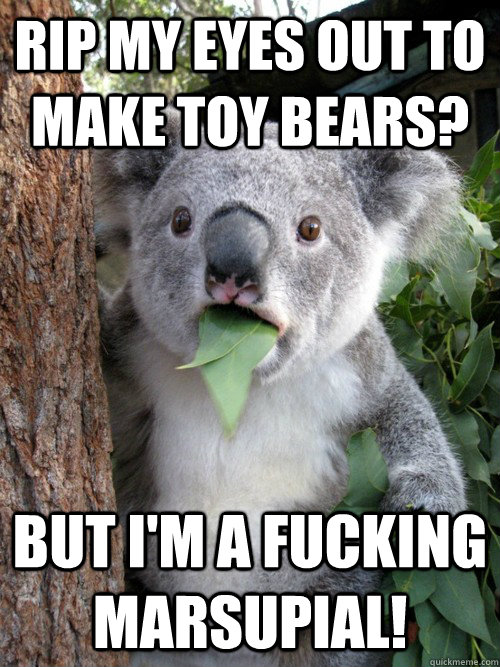 rip my eyes out to make toy bears? but i'm a fucking marsupial!  koala bear