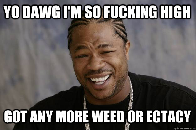 YO DAWG i'm so fucking high got any more weed or ectacy  Xzibit meme