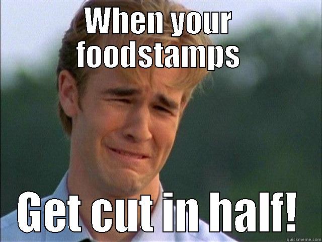 WHEN YOUR FOODSTAMPS GET CUT IN HALF! Misc