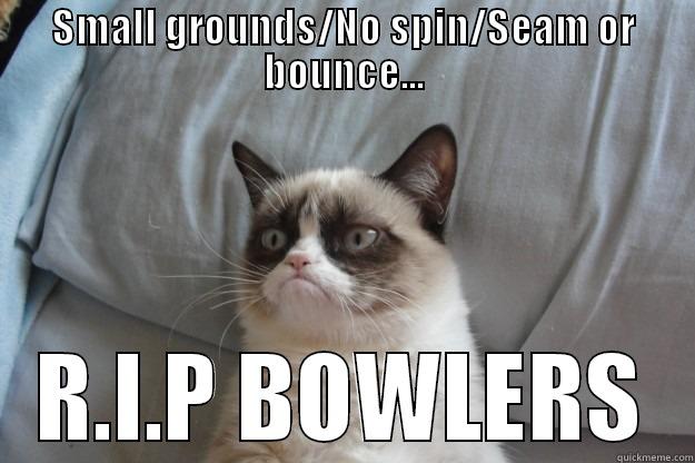 SMALL GROUNDS/NO SPIN/SEAM OR BOUNCE... R.I.P BOWLERS Grumpy Cat