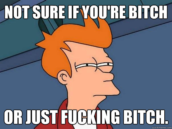 Not sure if you're bitch or just fucking bitch.  Futurama Fry