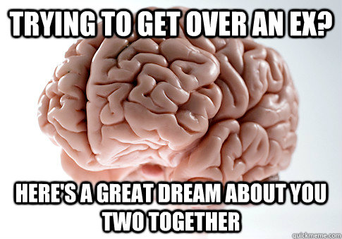 Trying to get over an EX? Here's a great dream about you two together  Scumbag Brain