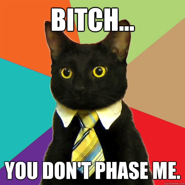 bitch... you don't phase me.  Business Cat