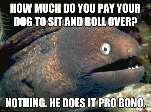 How much do you pay your dog to sit and roll over?  Nothing. He does it pro bono. - How much do you pay your dog to sit and roll over?  Nothing. He does it pro bono.  Bad Joke Eel