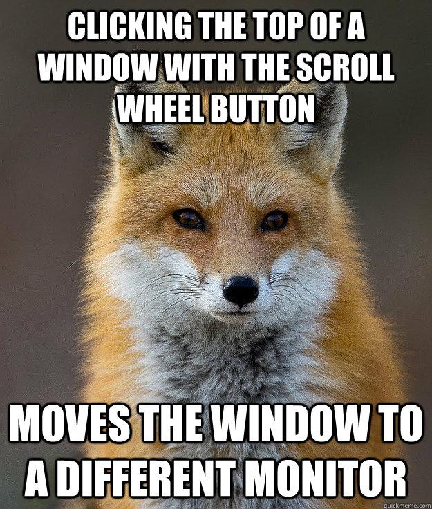 Clicking the top of a window with the scroll wheel button  moves the window to a different monitor  Fun Fact Fox