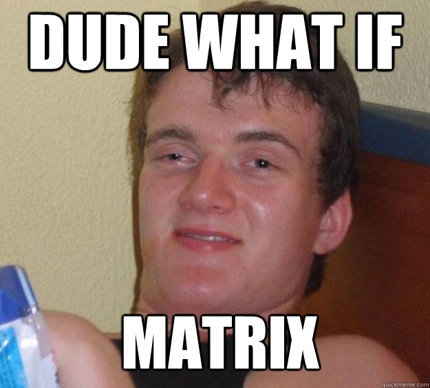 Dude what if  matrix   10 Guy