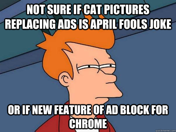 Not sure if cat pictures replacing ads is April fools joke or if new feature of ad block for chrome  Futurama Fry