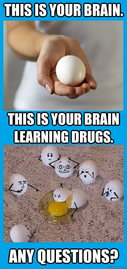 This Is Your Brain. This Is Your Brain Learning Drugs. Any Questions?  