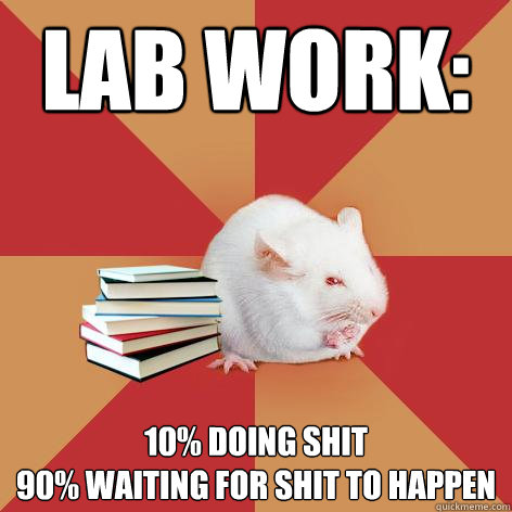 Lab work: 10% doing shit
90% waiting for shit to happen - Lab work: 10% doing shit
90% waiting for shit to happen  Science Major Mouse