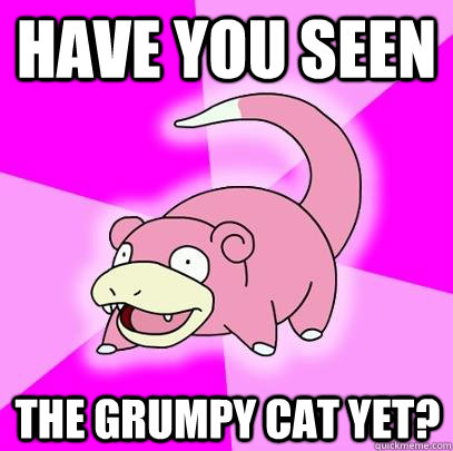 Have you seen The grumpy Cat yet?  Slowpoke