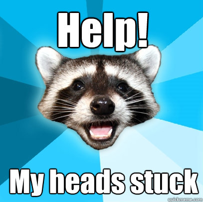 Help! My heads stuck  Lame Pun Coon