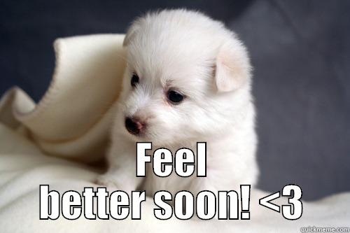 cute dog meme -  FEEL BETTER SOON! <3 Misc