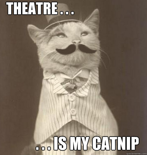 theatre . . . . . . is my catnip

  Original Business Cat