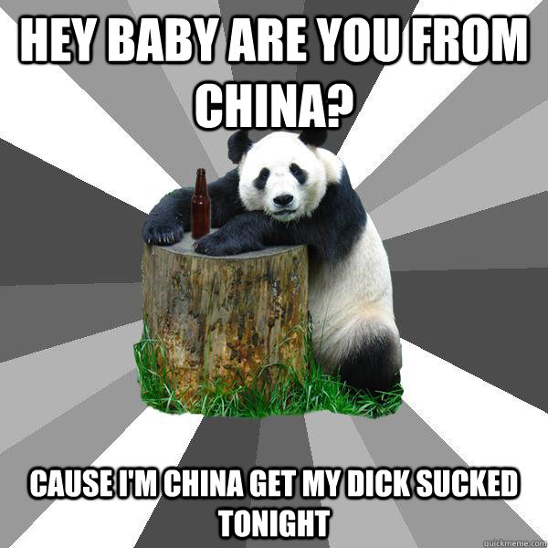 HEY BABY ARE YOU FROM CHINA? CAUSE I'M CHINA GET MY DICK SUCKED TONIGHT  Pickup-Line Panda