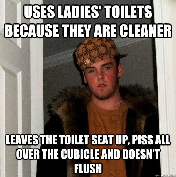 Uses Ladies' toilets because they are cleaner Leaves the toilet seat up, piss all over the cubicle and doesn't flush  Scumbag Steve