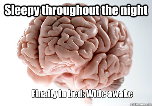 Sleepy throughout the night Finally in bed: Wide awake  Scumbag Brain