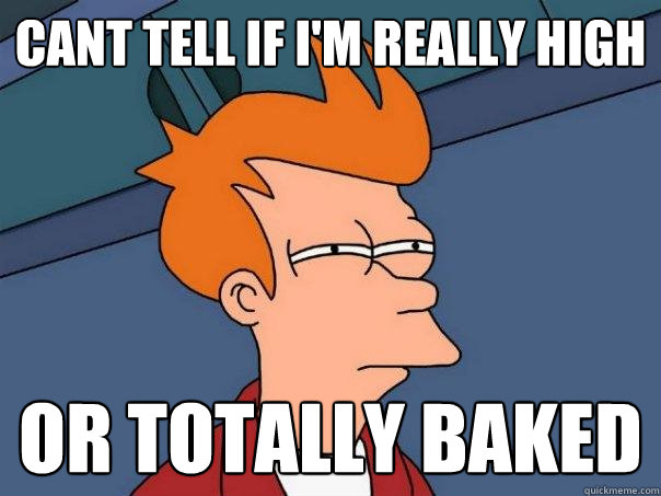 cant tell if i'm really high or totally baked  Futurama Fry