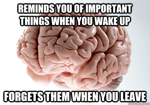 Reminds you of important things when you wake up forgets them when you leave  Scumbag Brain