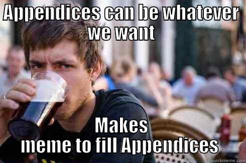 APPENDICES CAN BE WHATEVER WE WANT MAKES MEME TO FILL APPENDICES  Lazy College Senior