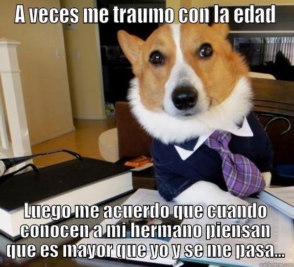 A VECES ME TRAUMO CON LA EDAD LUEGO ME ACUERDO QUE CUANDO CONOCEN A MI HERMANO PIENSAN QUE ES MAYOR QUE YO Y SE ME PASA... Lawyer Dog