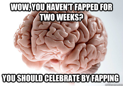 Wow, you haven't fapped for two weeks? You should celebrate by fapping - Wow, you haven't fapped for two weeks? You should celebrate by fapping  Scumbag Brain