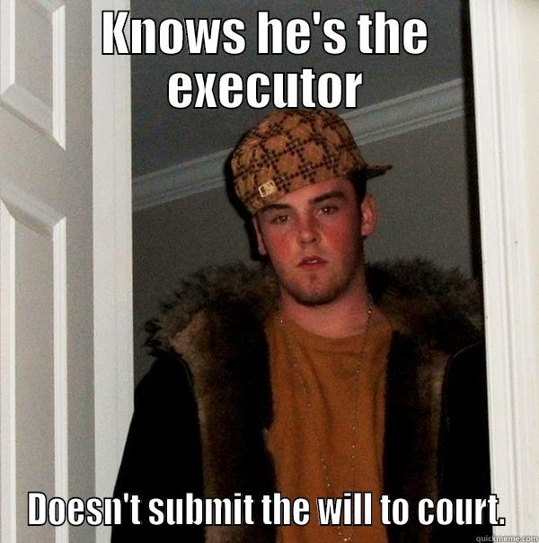 KNOWS HE'S THE EXECUTOR DOESN'T SUBMIT THE WILL TO COURT. Scumbag Steve