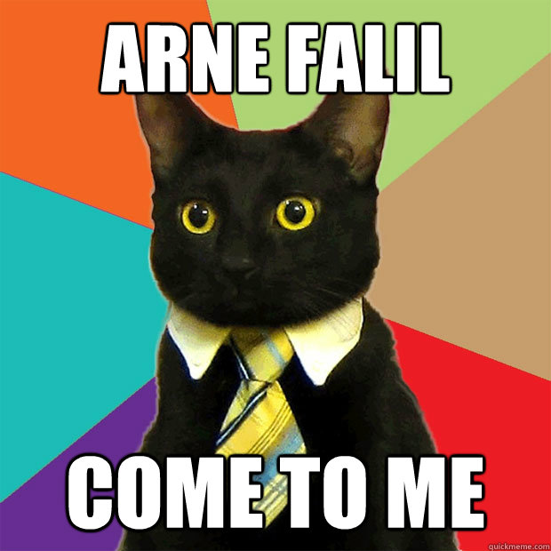 Arne Falil Come to me  Business Cat