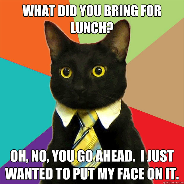 what did you bring for lunch? Oh, no, you go ahead.  i just wanted to put my face on it.  Business Cat