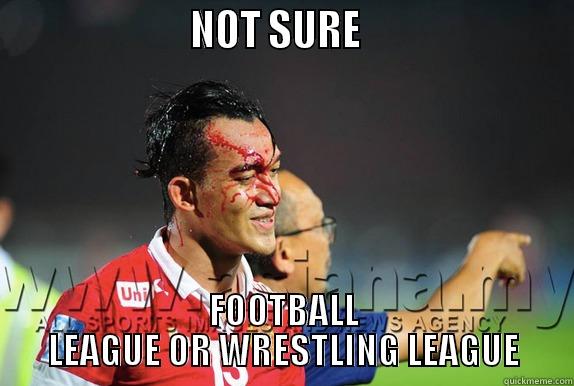                      NOT SURE                        FOOTBALL LEAGUE OR WRESTLING LEAGUE Misc