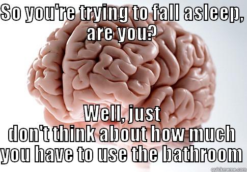 SO YOU'RE TRYING TO FALL ASLEEP, ARE YOU? WELL, JUST DON'T THINK ABOUT HOW MUCH YOU HAVE TO USE THE BATHROOM Scumbag Brain