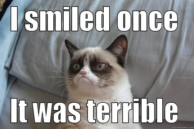 I SMILED ONCE IT WAS TERRIBLE Grumpy Cat