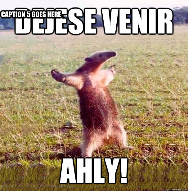 Dejese venir Ahly! Caption 3 goes here Caption 4 goes here Caption 5 goes here  oso hormiguero