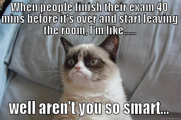 WHEN PEOPLE FINISH THEIR EXAM 40 MINS BEFORE IT'S OVER AND START LEAVING THE ROOM, I'M LIKE...... WELL AREN'T YOU SO SMART... Grumpy Cat