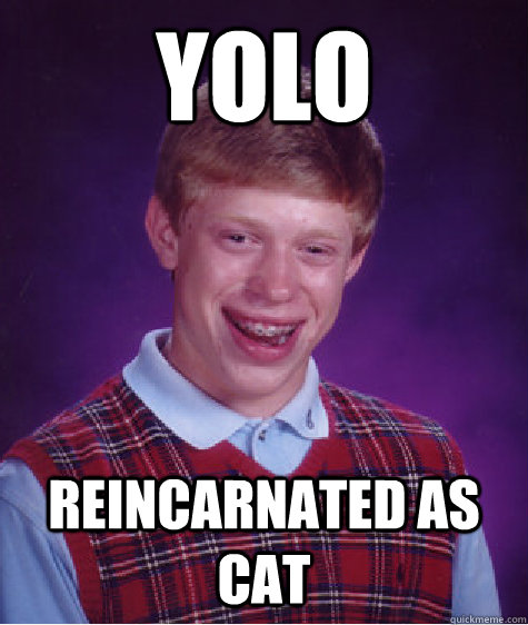 Yolo Reincarnated as cat  Bad Luck Brian