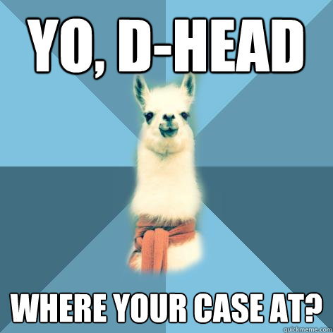 Yo, D-Head Where your case at?  Linguist Llama