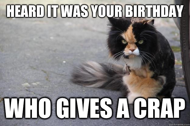 Heard it was your birthday Who gives a crap - Heard it was your birthday Who gives a crap  Angry Cat