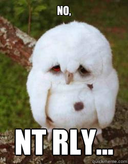 NO, NT RLY... - NO, NT RLY...  Sad Owl