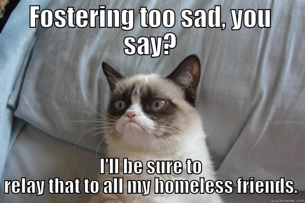 FOSTERING TOO SAD, YOU SAY? I'LL BE SURE TO RELAY THAT TO ALL MY HOMELESS FRIENDS. Grumpy Cat