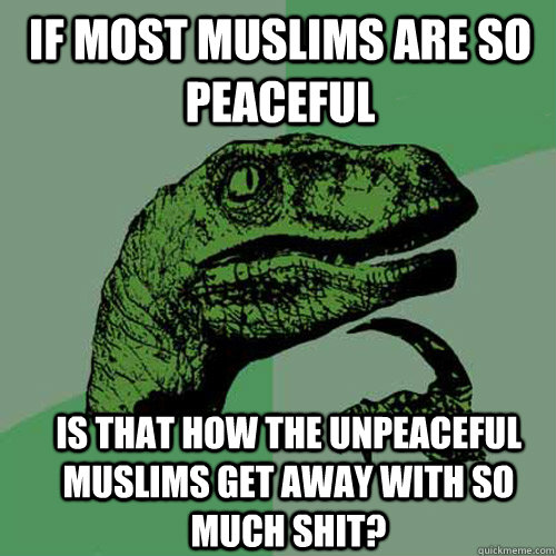 if most muslims are so peaceful Is that how the unpeaceful muslims get away with so much shit?  Philosoraptor