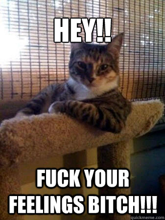 Hey!! fuck your feelings bitch!!!  The Most Interesting Cat in the World