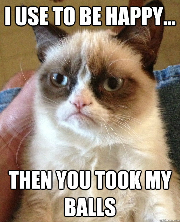 i use to be happy... then you took my balls  Grumpy Cat